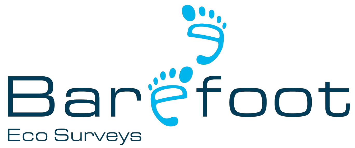 Barefoot Eco Surveys Logo