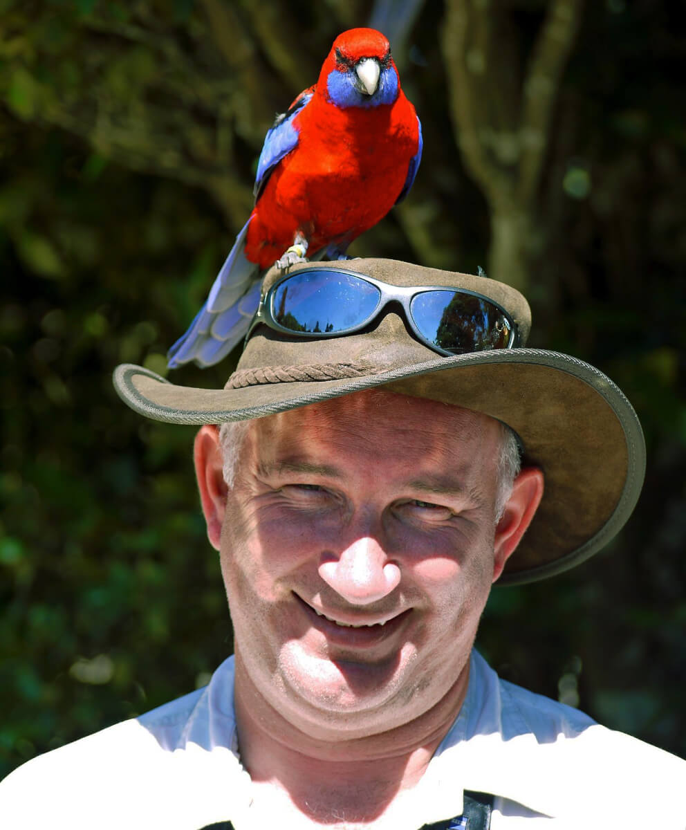 Smiling man with a red and blue bird on his hat